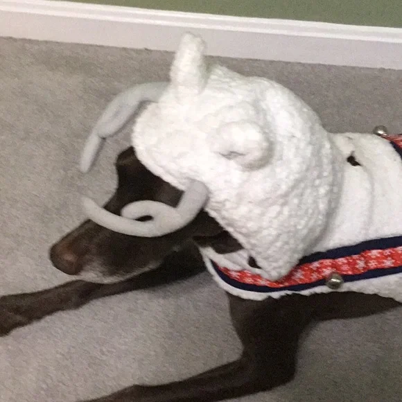 Reindeer themed sweater for dogs - Picture 3 of 4